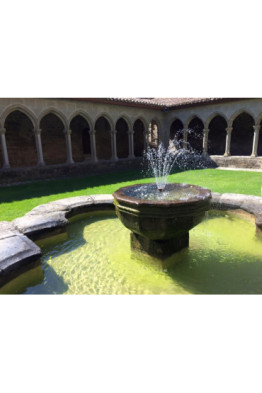 Feromonlarınızı Aktive Edin Aktivasyonu