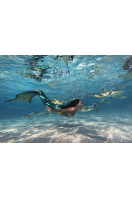 Mitokondrianızı Aktive Edin