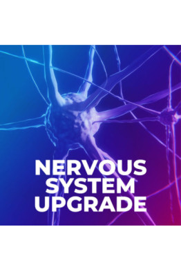 Sinir Sistemi Güçlendirme Aktivasyonu