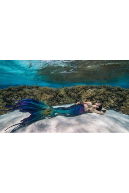 Telomerler ve Stem Hücrelerinizi Aktive EtmeAktivasyonu